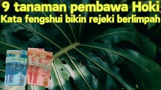 9 Tanaman pembawa keberuntungan menurut fengshui ‼️kalian punya salah satunya gak dirumah?