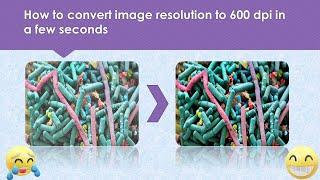 How to convert image resolution to 600 dpi in a few seconds