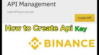 How to create api key | Explain in Hindi/ Urdu | Api key Binance | Api Binance | Api management |