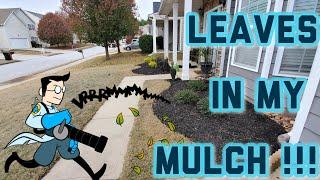 How to Get Leaves Out of Your Mulch Bed - Cool Trick!!