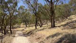 Deep Healing Music: Release Toxic Energy On An Australian Walking Path