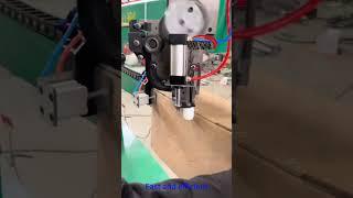 Stitching Machine With Double Servo Control