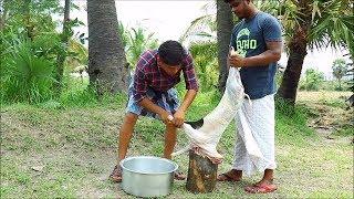 FULL GOAT CURRY - Mutton Curry Recipe - Cooking skill - Village Food Channel