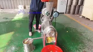 Industrial ginger juicer extractor/apple juice making machine/pineapple juice squeezing machine