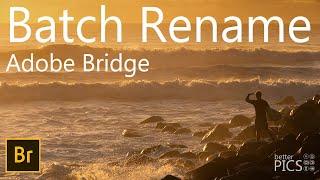 Batch Rename Files in Adobe Bridge 2024 | #AdobeBridge2024 #BatchRename #EditWorkflow #RenameFiles