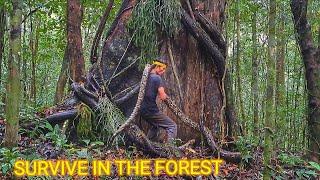 Solo survival || naluri bertahan hidup di hutan sendirian