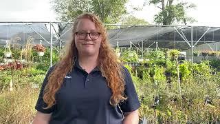 Liberty Landscape Supply Designer Video || Ellen || North Main Street Location