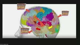 Personalized Brain Mapping