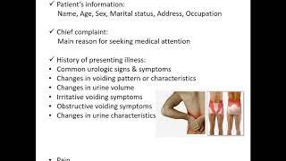 Disorders Of the Genitourinary System