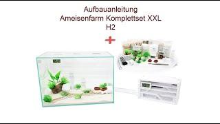 Aufbauanleitung Ameisenkomplettset Ameisenfarm H & XXL & XL