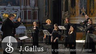 Jacobus Gallus | Ecce quomodo moritur justus - Dresdner Kammerchor