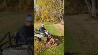 TOP 3 Methods For Leaf Cleanup! #diy #howto #tips #leafcleanup #grassmastermatt #shorts