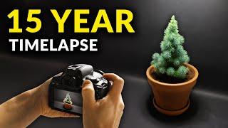 I Filmed Plants For 15 years | Time-lapse Compilation