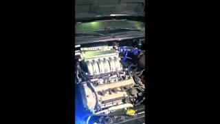 Tony's Supercharged 2003 Hyundai Tiburon GT V6