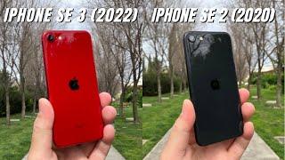 iPhone SE 2022 vs iPhone SE 2020 Camera Comparison | Is there really a difference?