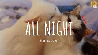 Icona Pop - All Night (remix cute) // (Vietsub + Lyric) Tik Tok Song