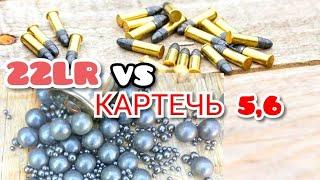 мелкашка VS картечь 5,6 мм тест на пробитие