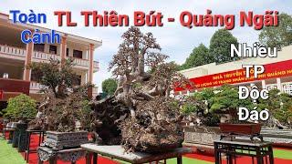 TOÀN CẢNH TRIỂN LÃM CCNT THIÊN BÚT - TP QUẢNG NGÃI 2024 * rất nhiều TP ĐẸP ĐẶC TRƯNG ở miền trung .