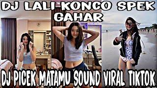 DJ LALI KONCO SPEK GAHAR HOREG || DJ PICEK MATAMU VIRAL TIKTOK SOUND DhanzzBASS GLERR TERBARU 2023