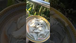 dudh puli pitha @ishratjohir6299 #vairalvideo #dhut puli pitha