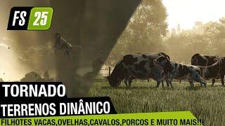 10 minutos de Farming Simulator 25 - Imagens  do jogo