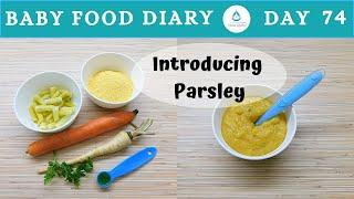 Baby Food Diary | Day 74 | Parsley For Baby | 8m+