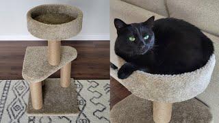 Amazon Basics Indoor Medium Cat Tree Assembly & Review