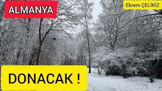 Almanya Donacak