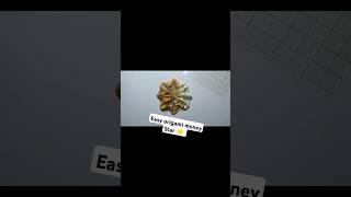 Easy origami money Star 