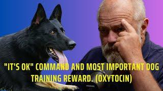 "It's OK" Command & Most Important Dog Training Reward (Oxytocin)