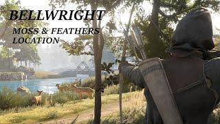 Moss & Feather location | Bellwright