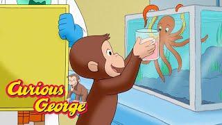 Curious George  George visits a marine rehabilitation lab    Kids Cartoon  Kids Movies