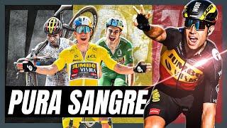 ¿Es Wout VAN AERT el Ciclista Más Completo del Mundo? - Ciclismo Leyenda.