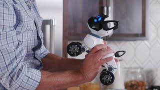 Meet CHiP: The World's First Lovable Robot Dog