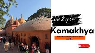 MA KAMAKHYA DEVI / HER WORSHIP /THE RITUALS / IMPORTANCE