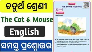 The Cat and the mouse Question answers| 4th class English lesson 2 cat and the mouse all answers