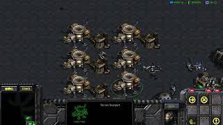 StarCraft 1v1