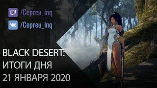 Black Desert: 21.01.20 Нерф сбора, АП Страж, мнение о ДК, родмап