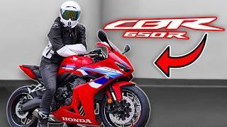 Honda CBR 650R (E-Clutch) Test Ride/Review | BEST 650 Sport Bike? | CBR650R vs GSX8R vs Ninja 650