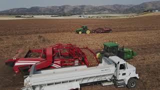 Idaho Potato Harvest | Hamilton Triple C Farms