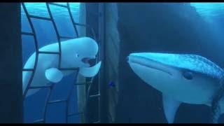 'Finding Dory' (2016) Official Clip 'You're a Beluga'