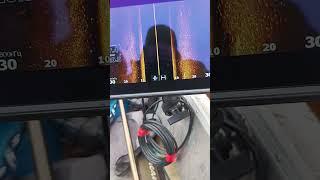 эхолот lowrance elite fs 9 . как выглядит лещ в эхолоте