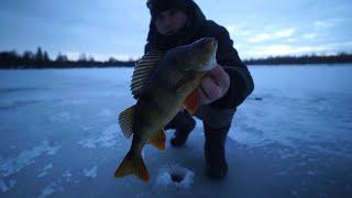 Two days on the lake. Caught on a perch bite. Fishing on the lake in the taiga.