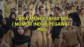 Cara Cek NIP CPNS 2019 | CPNS 2021