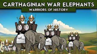 Carthaginian War Elephants | Warriors of History