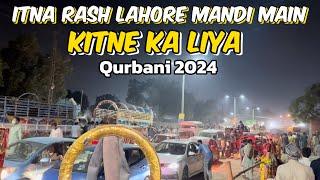 Itna rash Lahore Mandi main Kitne Ka liya | qurbani Ka Janwar 2024 |shahpur kanjra Mandi Lahore