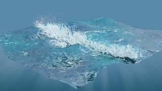 CG Wave. 3ds Max. No plugins.