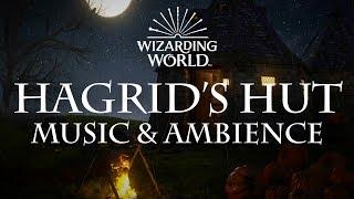 Harry Potter Music & Ambience | Hagrid's Hut