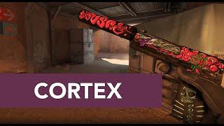 USP-S  Cortex Counter strike 2 Battle-Scarred