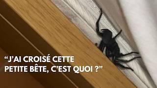 Vos découvertes les plus folles de l’été ️   - #1